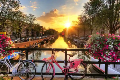 Afrejse 31.05.2025 - Krydstogt mellem Amsterdam og Strasbourg - 2 personer - 8 dage - Fly (København) - Kahyt - Udflugter - Helpension