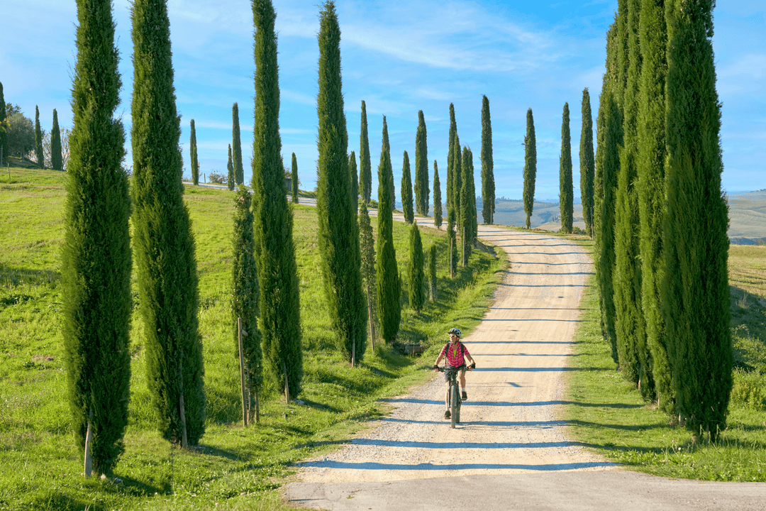 Afrejse 22.08.2026 - Cykelferie på elcykel i Piemonte - 1 person - 8 dage - Kør-selv - Hotel - Cykeludflugter - Halvpension