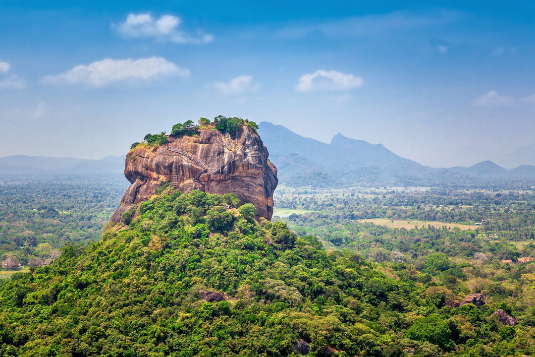 Den ikoniske løveklippe Sigiriya rejser sig over det frodige, grønne landskab under en blå himmel.